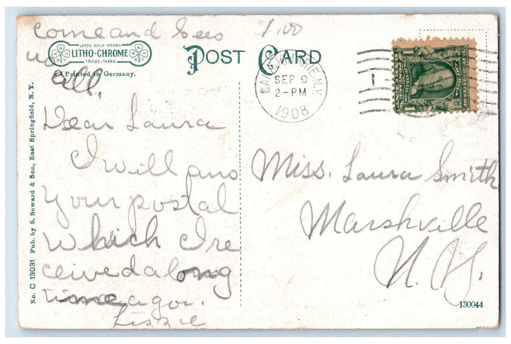 1908 Main Street Looking North East Springfield New York NY Antique Postcard