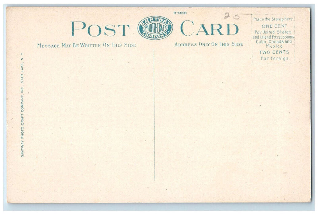 c1920's From State Road Schroon Lake New York NY Antique Unposted Postcard