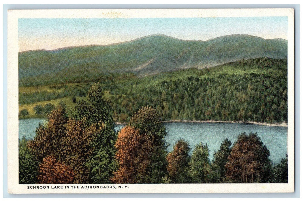 c1920's River Scene Schroon Lake Adirondacks New York NY Antique Postcard