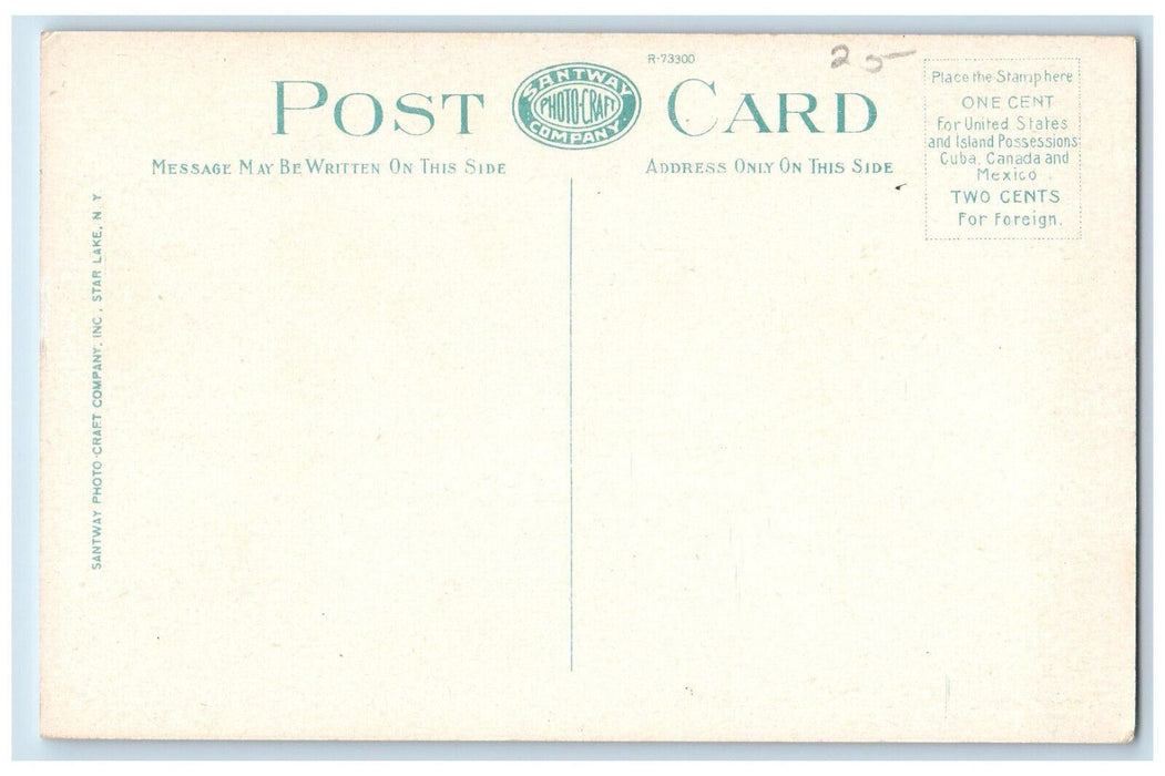 c1920's River Scene Schroon Lake Adirondacks New York NY Antique Postcard