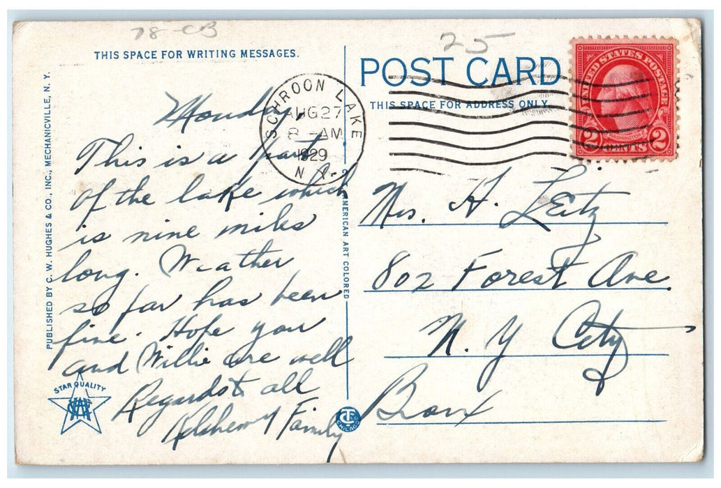 1929 Glimpse of Paradox Lake Near Schroon Lake New York NY Posted Postcard