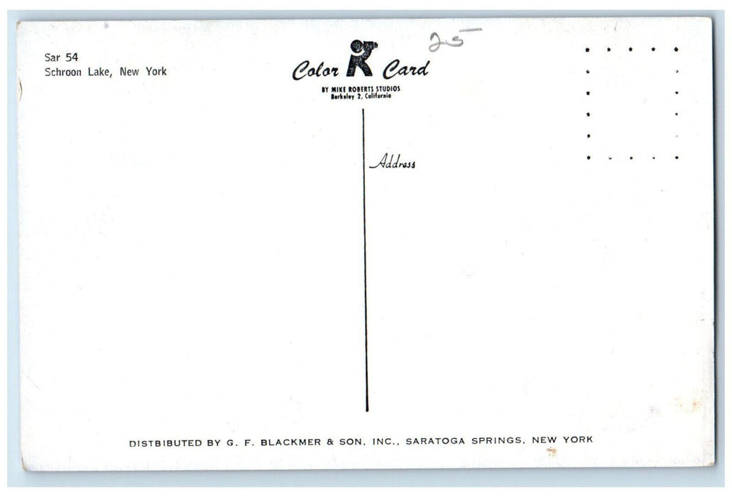 c1950's Boat Landing River Scene Sar 54 Schroon Lake New York NY Postcard