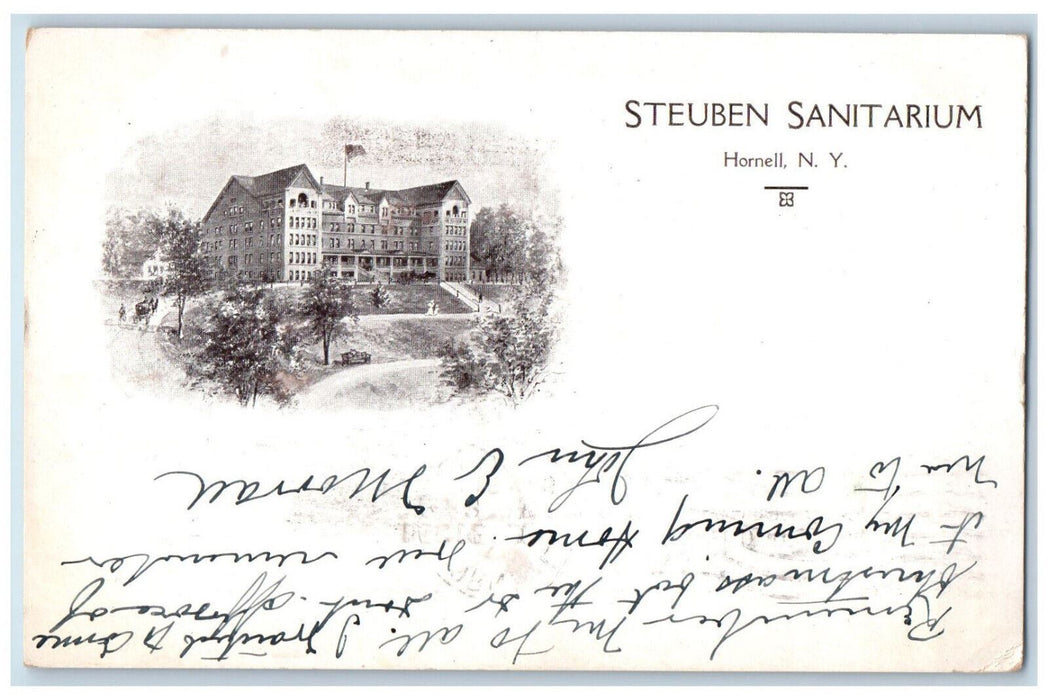 1916 Steuben Sanitarium Hornell New York NY Antique Posted Postcard