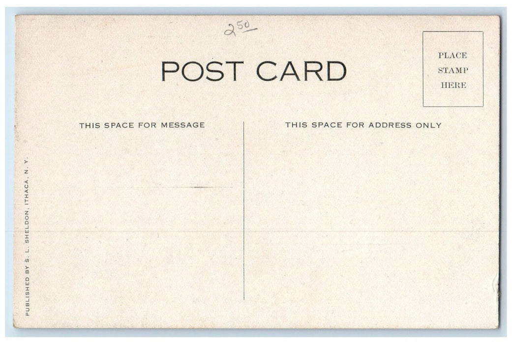 c1910 Y.M.C.A Building Ithaca New York NY SL Sheldon Unposted Postcard