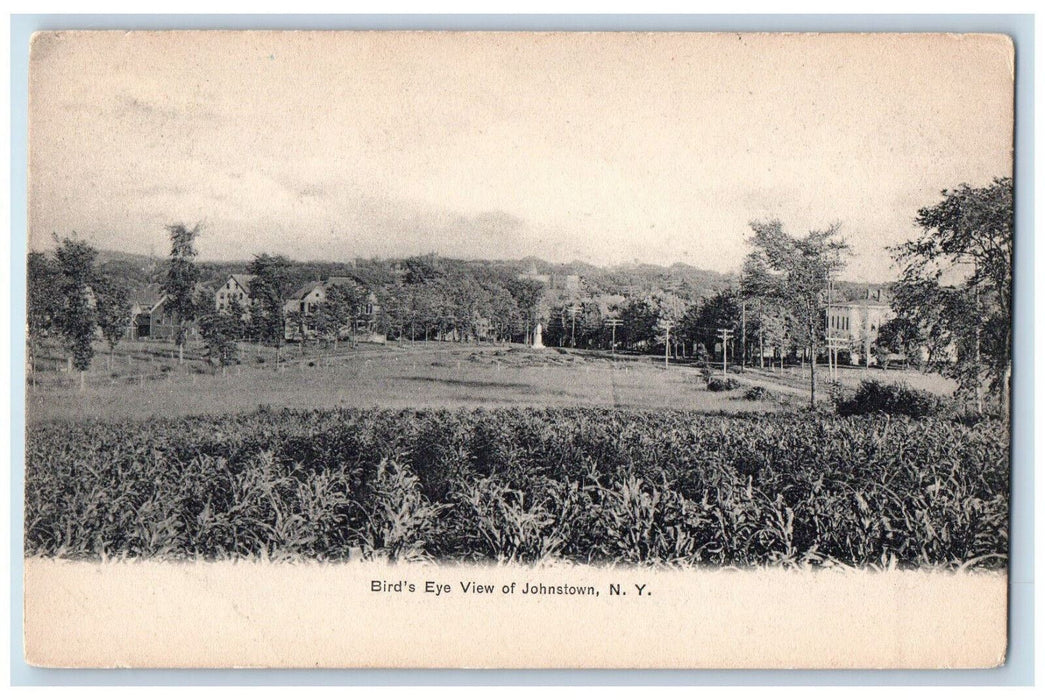 c1905 Bird's Eye View of Johnstown New York NY Antique Unposted Postcard