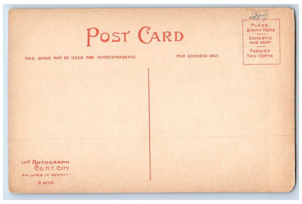 c1910 Old Revolution Cemetery Johnstown New York NY Antique Unposted Postcard