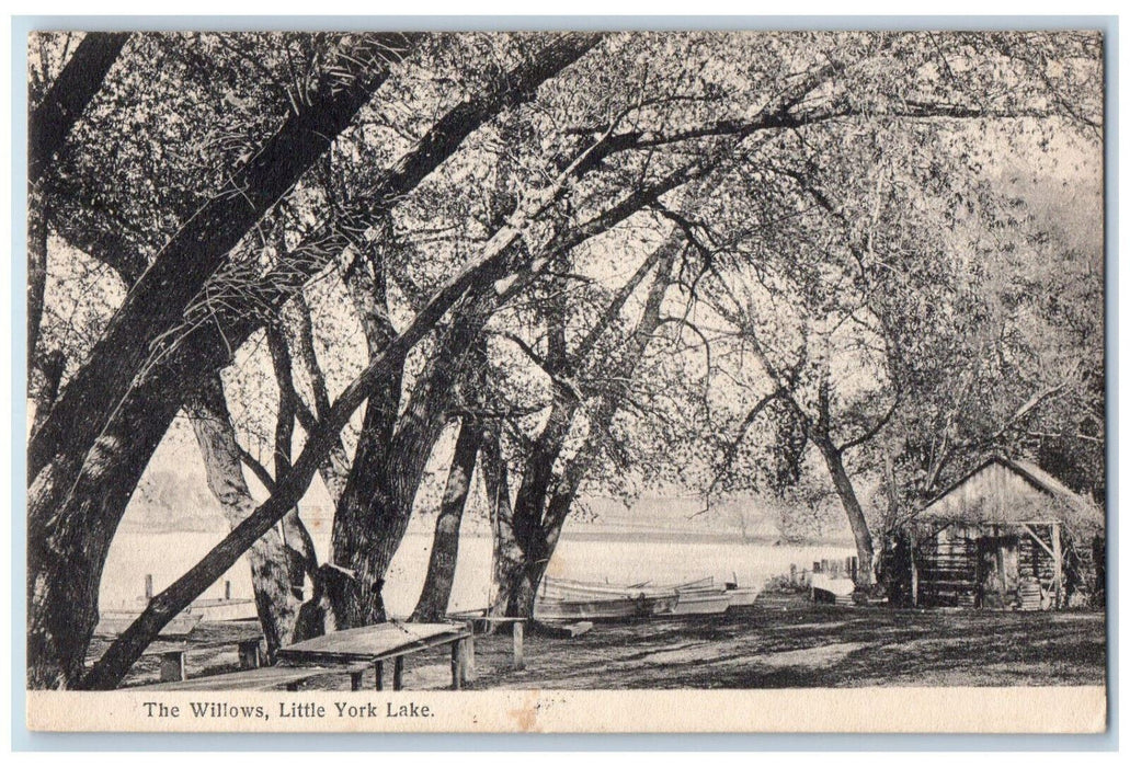 1910 The Willows Little York Lake New York NY Antique Posted Postcard
