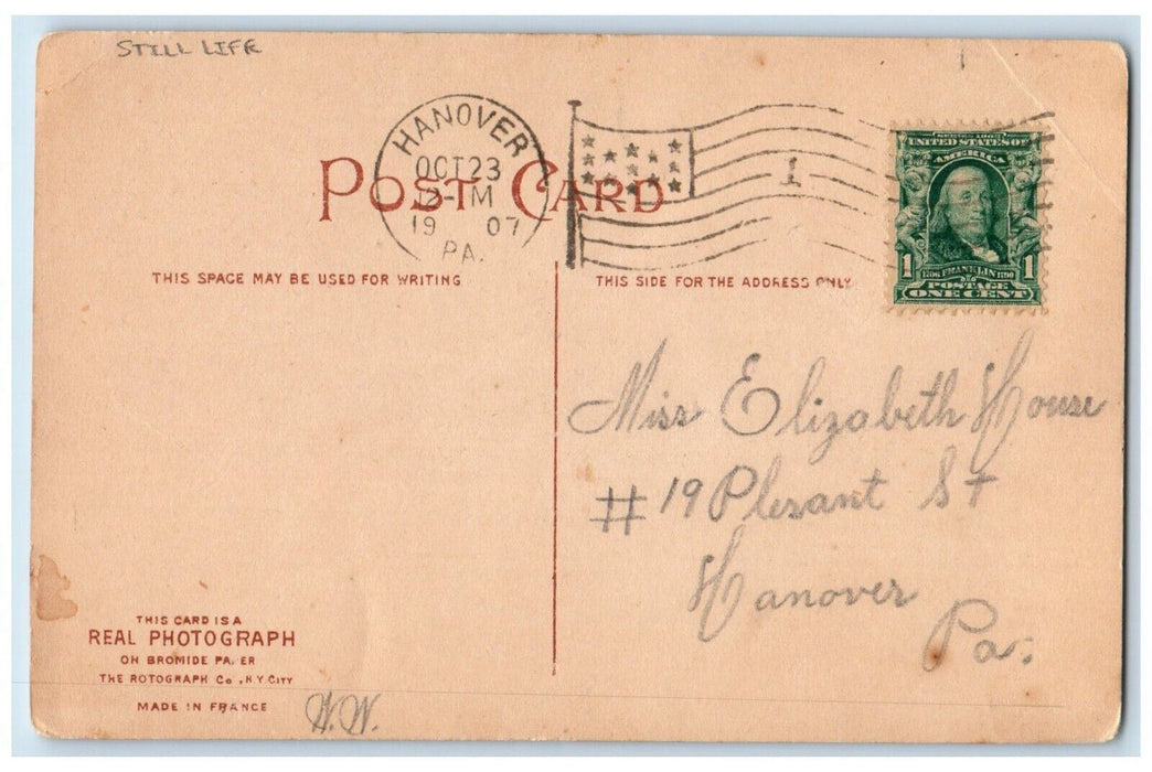 1907 Birthday Greetings Flowers  Still Life Hanover PA RPPC Photo Postcard
