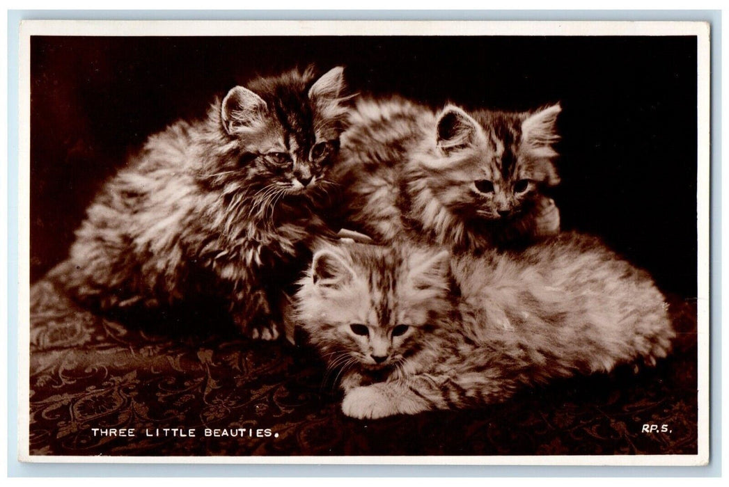 c1940's Three Little Beauties Cats Kittens Studio Portrait RPPC Photo Postcard