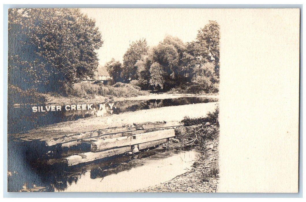 c1910's View Of Residence Forest Silver Creek New York NY RPPC Photo Postcard