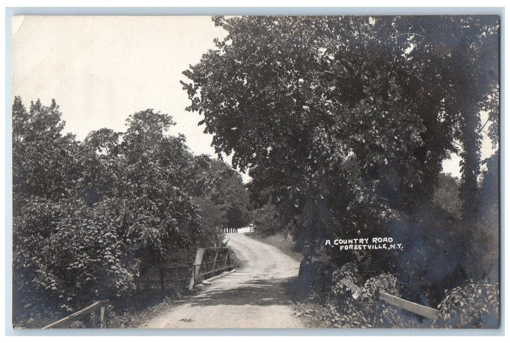 c1910's A Country Road Forestville New York NY RPPC Photo Unposted Postcard