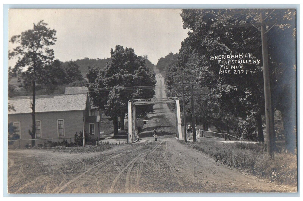 c1910's Sheridan Hill Bridge Children Forestville NY RPPC Photo Postcard