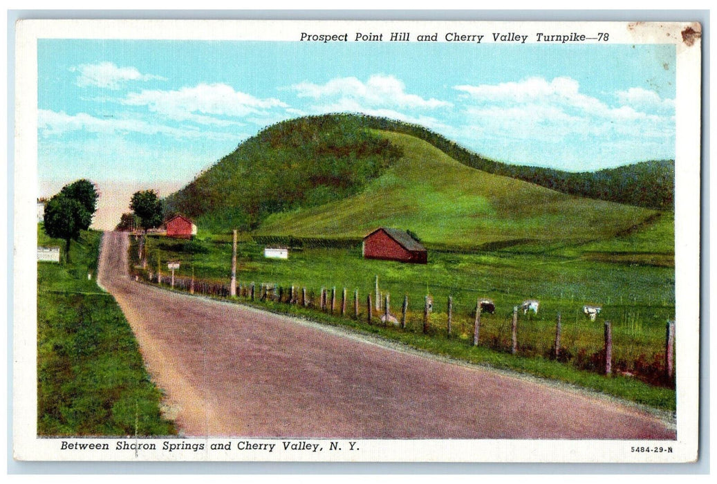 c1920's Prospect Point Hill Cherry Valley Turnpike New York NY Postcard