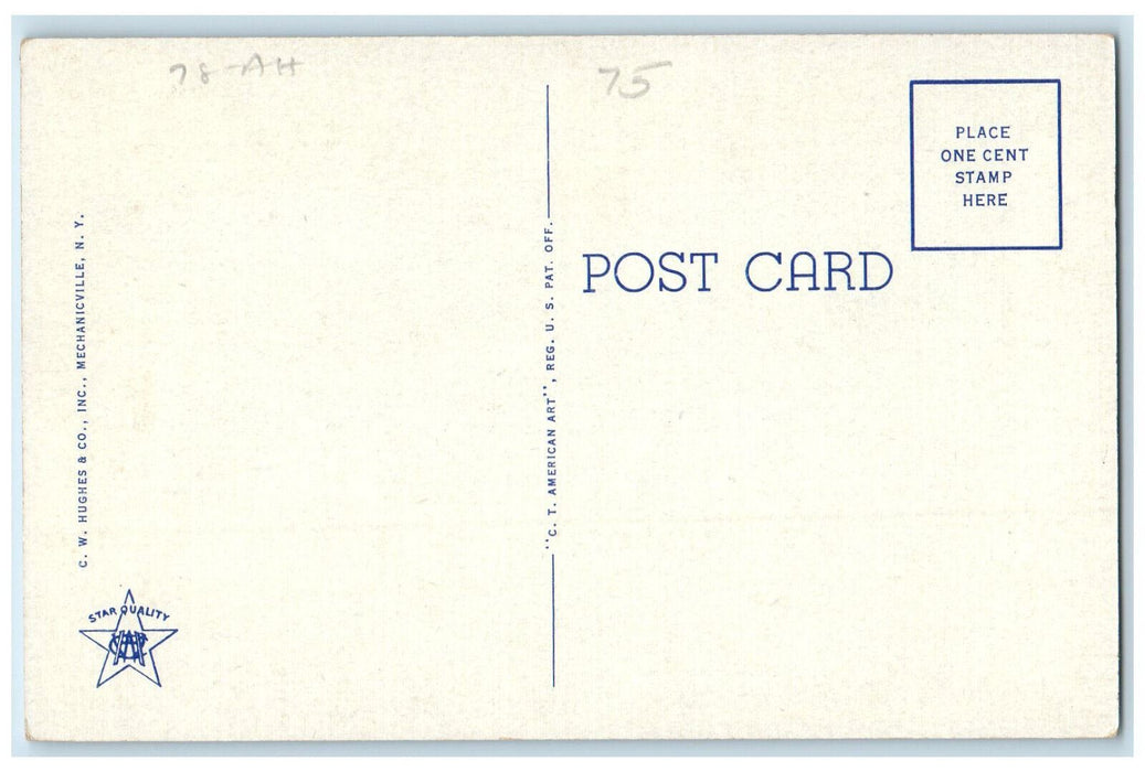 c1920's Prospect Point Hill Cherry Valley Turnpike New York NY Postcard