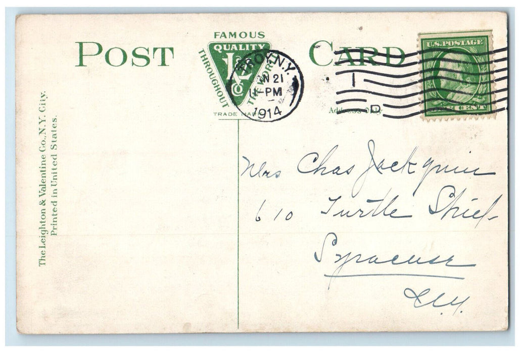 1914 View of Manning Boulevard Albany New York NY Posted Antique Postcard