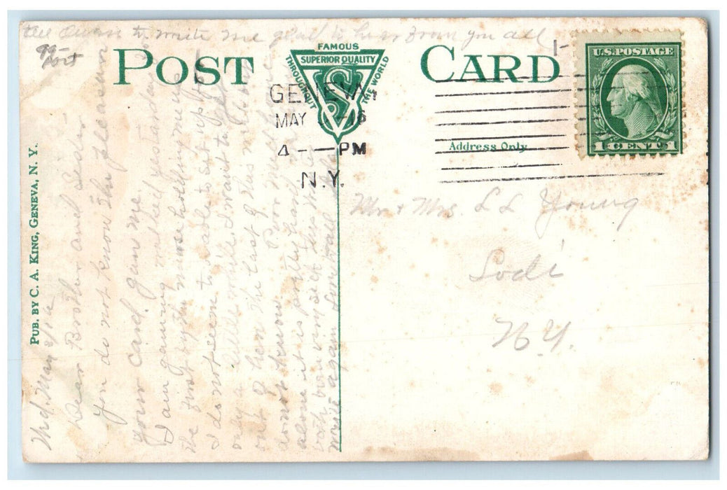 1916 Fruit Plants New York Agricultural Experiment Station Geneva NY Postcard