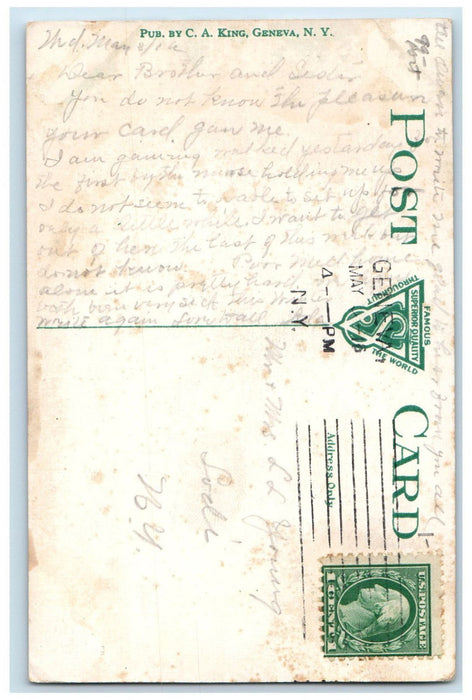 1916 Fruit Plants New York Agricultural Experiment Station Geneva NY Postcard