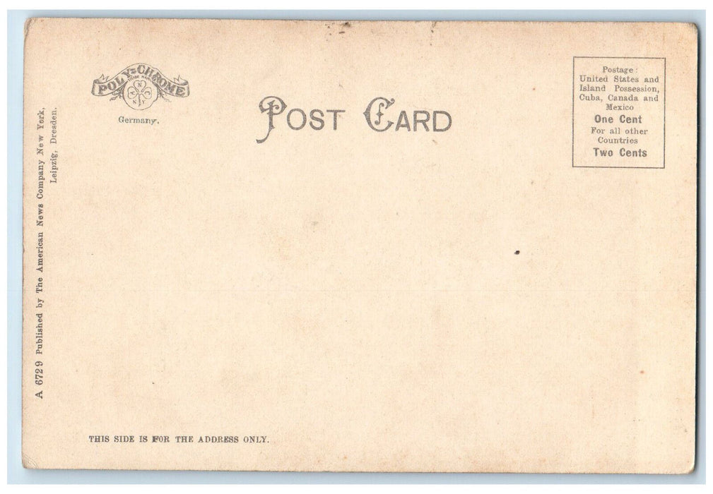 c1905 The Four Tracks of the New York Central Little Falls NY Postcard
