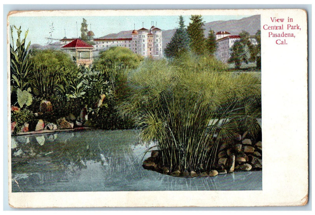 1910 View In Central Park Pasadena California CA Nature Scene Antique Postcard