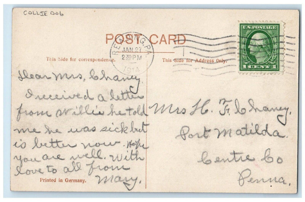 1914 Collie Dogs Our Happy Little Home RPPC Photo Reading PA Antique Postcard