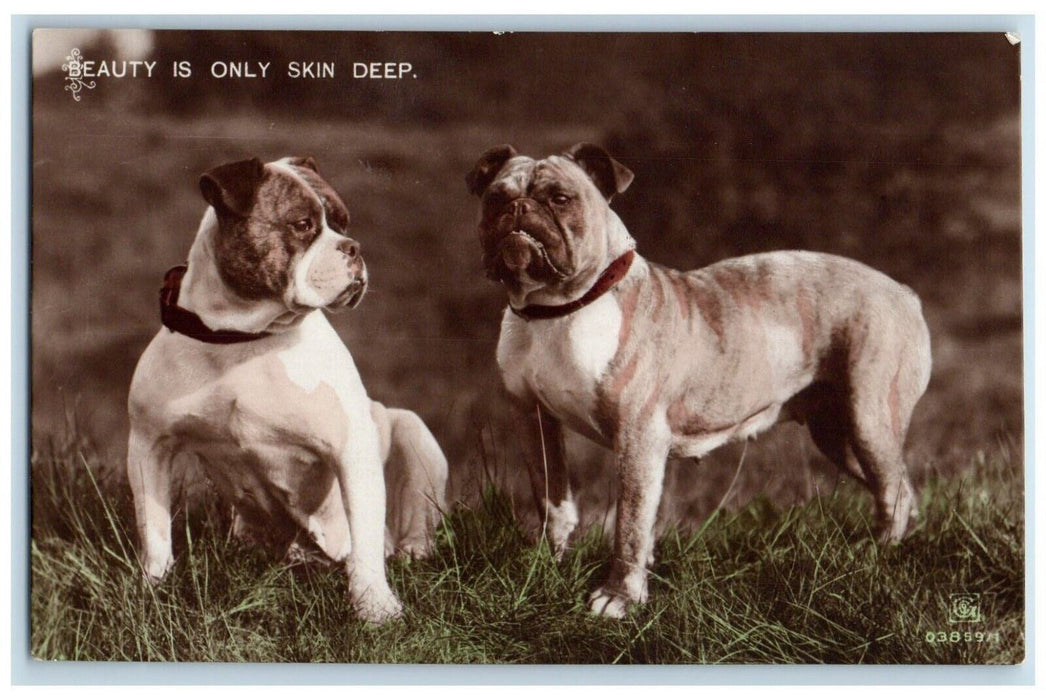 Bull Dog Beauty In Only Skin Deep RPPC Photo Animals Unposted Vintage Postcard