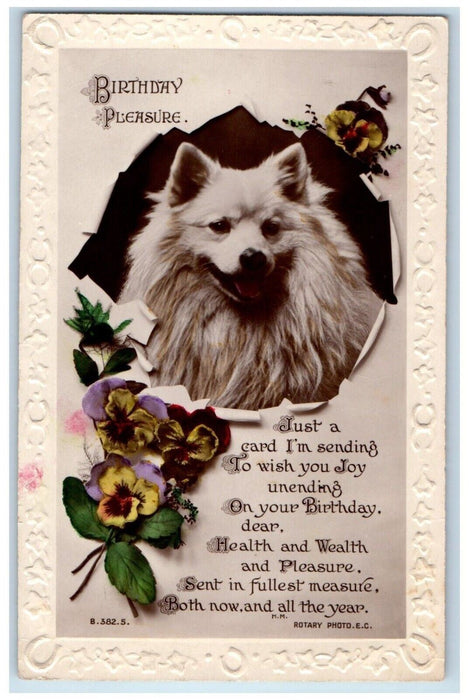 Birthday Pomeranian Chihuahua Dog RPPC Photo Animals Embossed Vintage Postcard