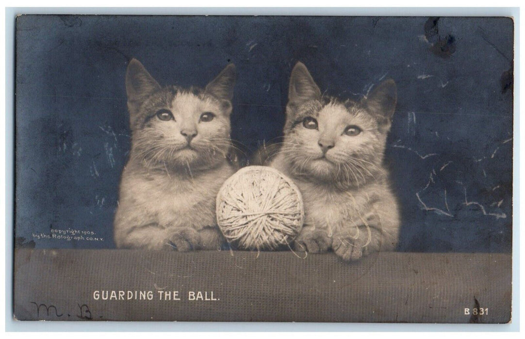 1907 Kittens Guarding The Ball RPPC Photo Imlay City MI Rotograph Postcard
