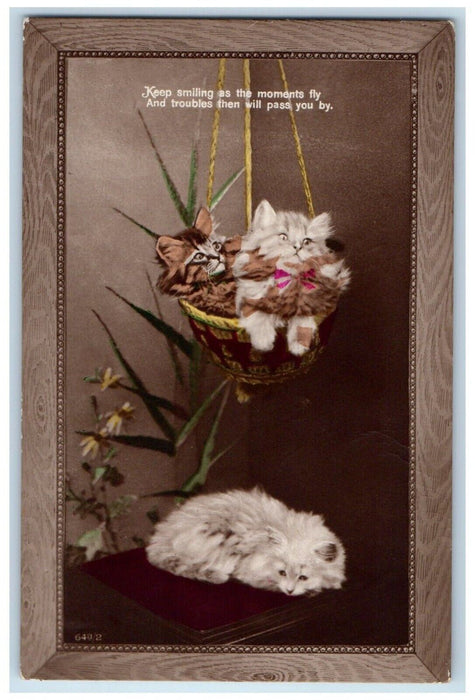 Hanging Cute Kittens In Basket Flowers Keep Smiling RPPC Photo Posted Postcard