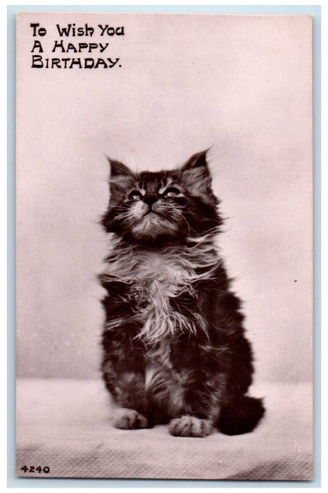c1905 Happy Birthday Cute Cat Kitten RPPC Photo Unposted Antique Postcard