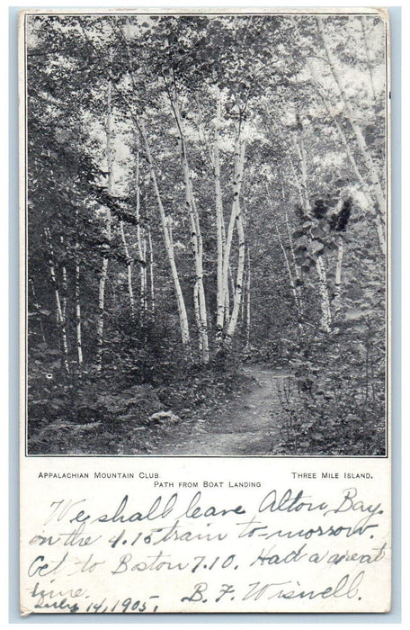 Appalachian Mountain Club Path From Boat Landing Lake Port NH Antique Postcard