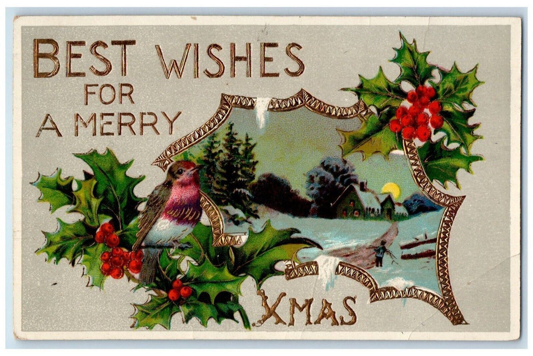 1912 Christmas Bird Berries Gel Gold Gilt Embossed Waynesboro PA Posted Postcard