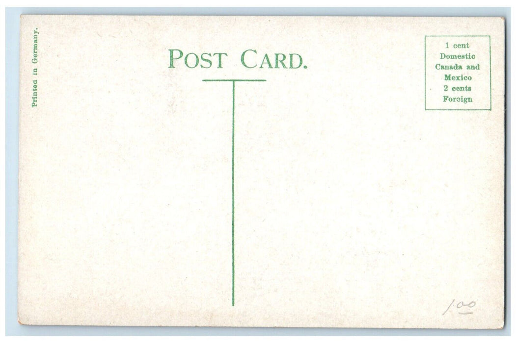 c1910 Magnolias Bloom Oxford Street Road Exterior Rochester New York NY Postcard
