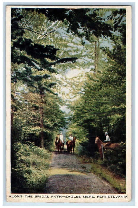 1944 View Of Along The Bridal Path Eagles Mere Pennsylvania PA VintagePostcard