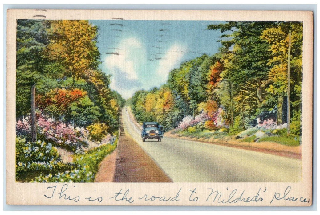 1943 Street Car Trees Scene Pottstown Pennsylvania Vintage PA Posted Postcard