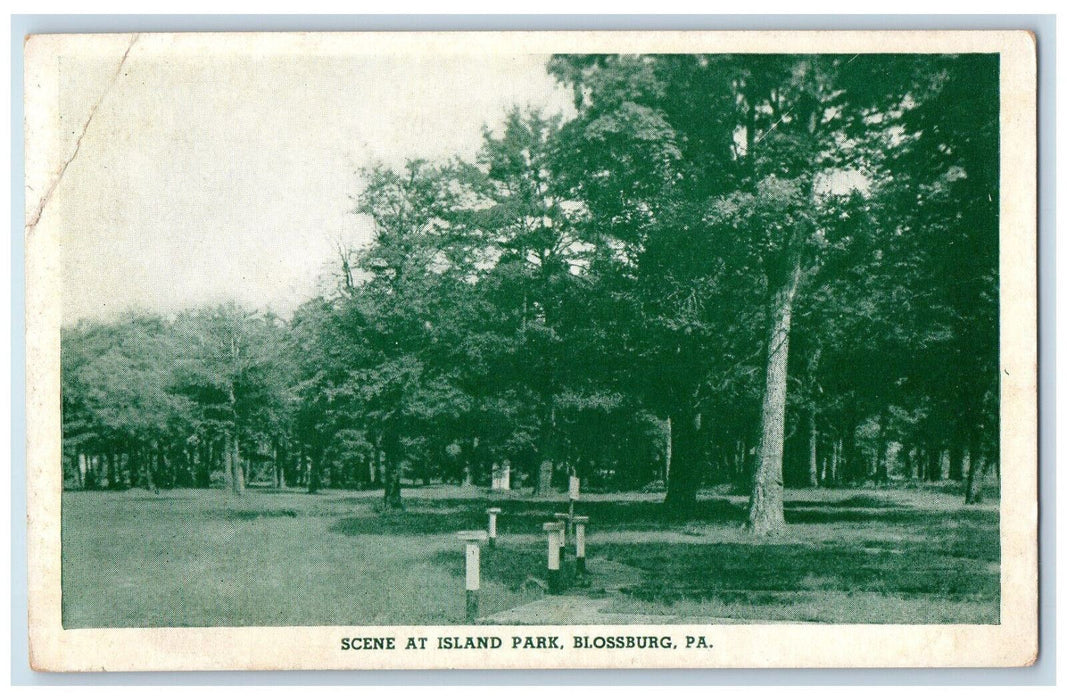 Scene At Island Park Garden Blossburg Pennsylvania PA Vintage Unposted Postcard