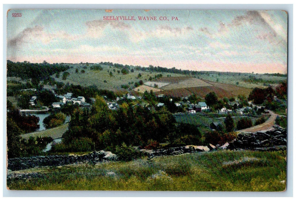 Bird's Eye View Of Seelyville Wayne Co Pennsylvania PA Vintage Unposted Postcard