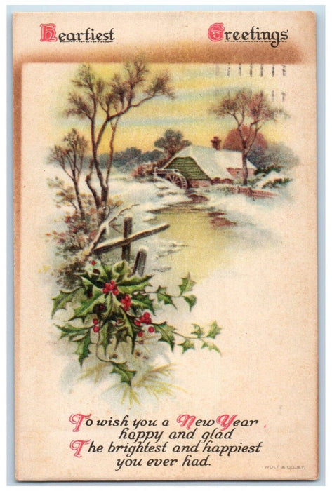 1921 Heartiest Greetings Winter Berries Wolf Clapsaddle Brooklyn NY Postcard