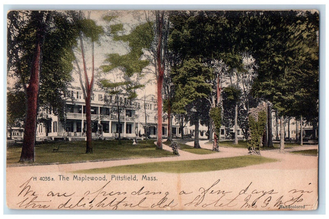 1908 The Mapplewood House Mansion Pittsfield Massachusetts MA Antique Postcard