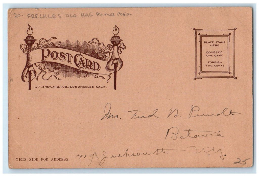 c1905 Freckles Old Hag Man Poem Humor Posted Antique Postcard