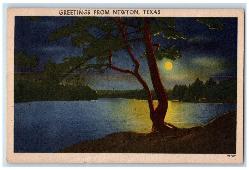 1959 Moonlight Scene Greetings from Newton Texas TX Vintage Postcard