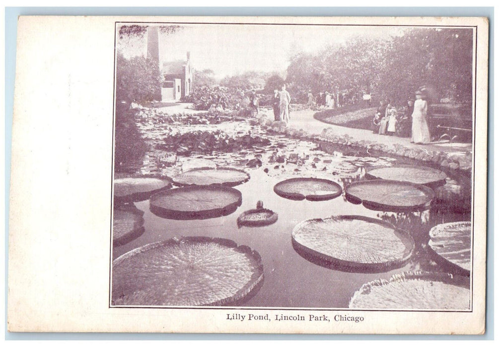 c1905 Lilly Pond Lincoln Park Chicago Illinois IL Antique Unposted Postcard