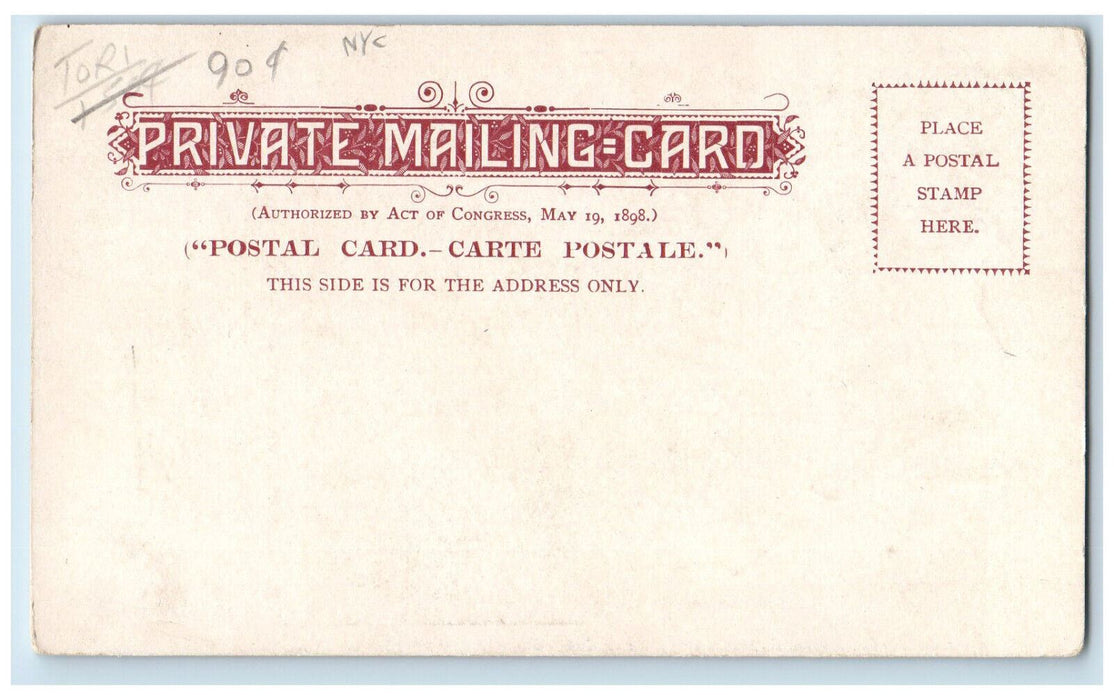 c1900's Hotel Majestic 72nd Street & 8th Avenue New York City NY PMC Postcard
