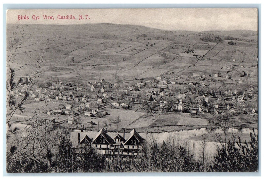 1909 Birds Eye View of Buildings Unadilla New York NY Antique Posted Postcard