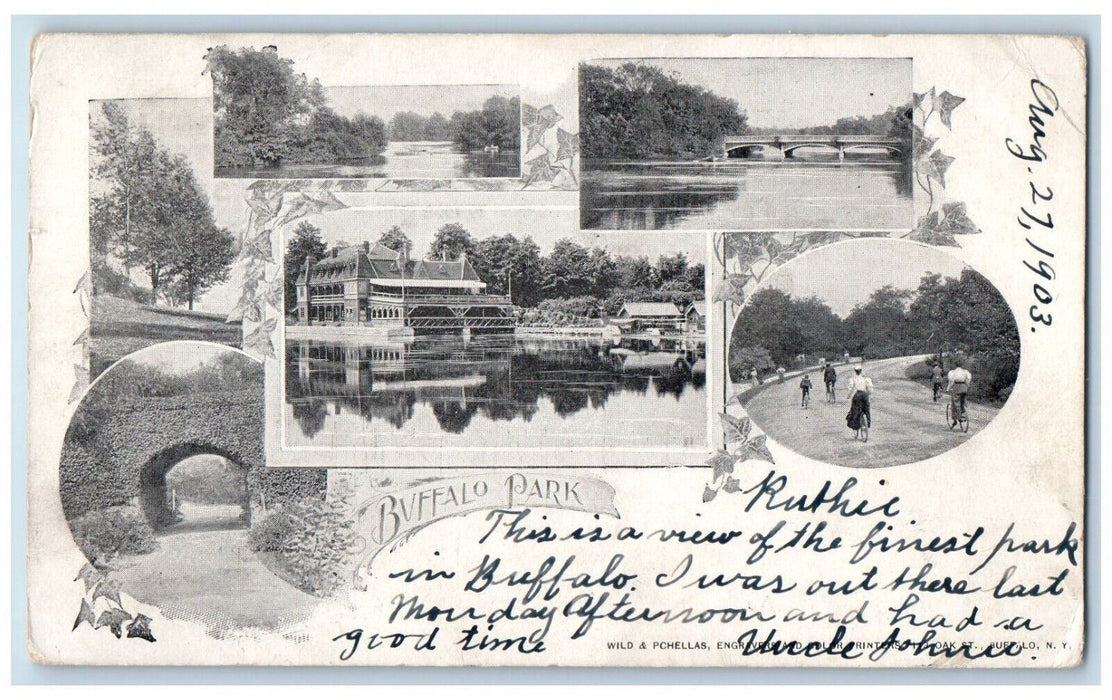 1903 Buffalo Park Buffalo New York NY PMC Multiview Antique Postcard