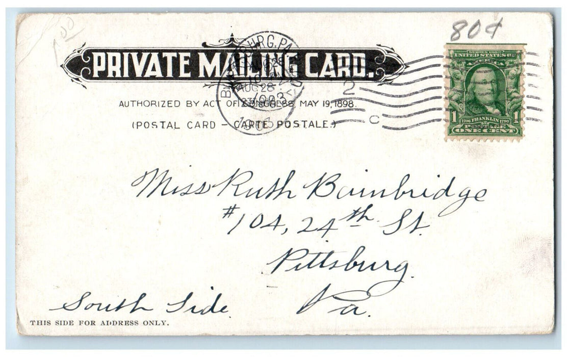 1903 Buffalo Park Buffalo New York NY PMC Multiview Antique Postcard