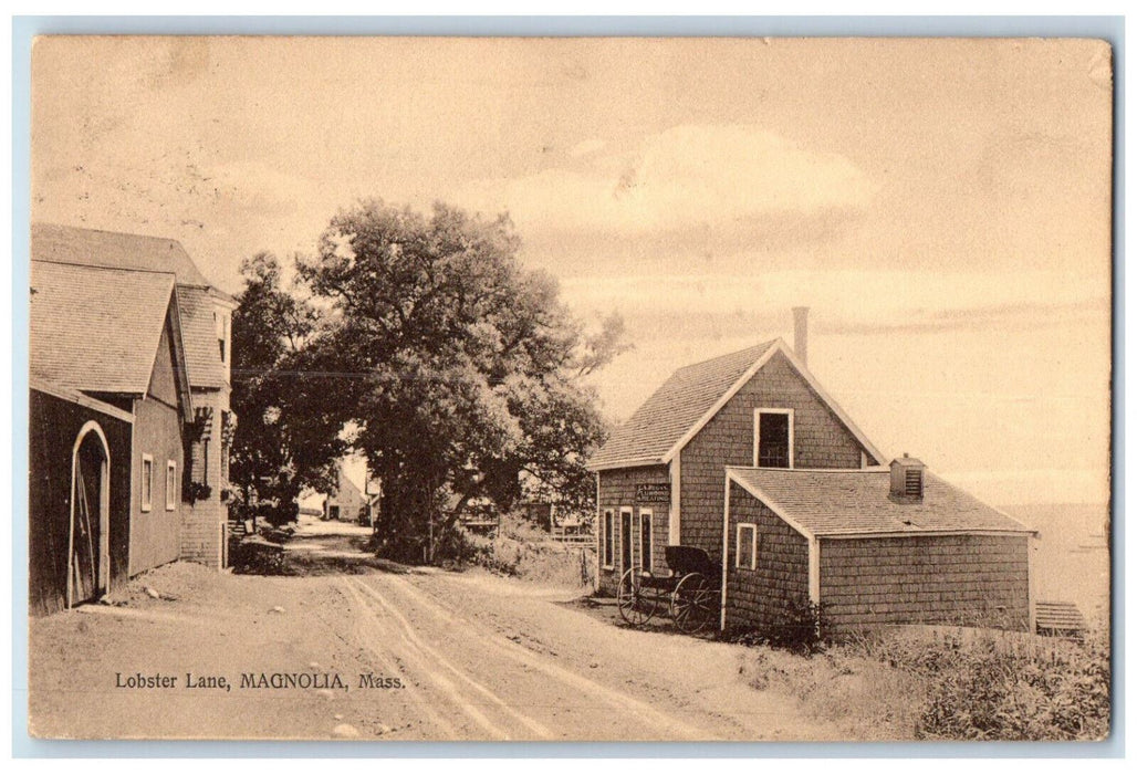 1910 View Of Lobster Lane Magnolia Massachusetts MA, Dirt Road Scene Postcard