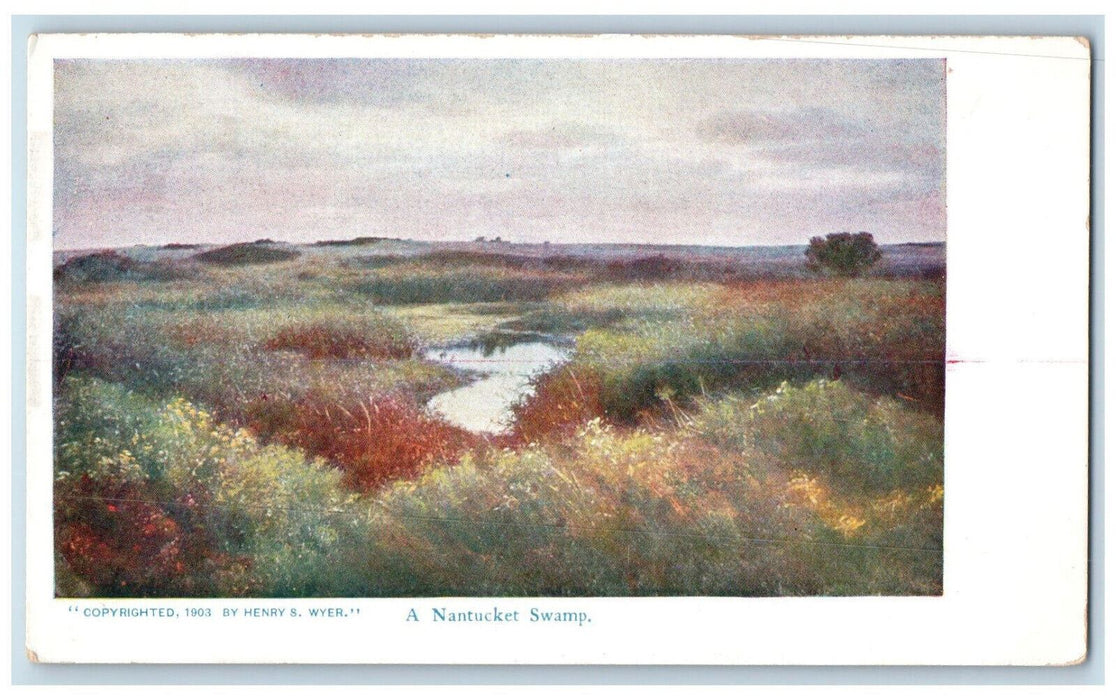 1903 A Nantucket Swamp Massachusetts MA Henry S Wyer Unposted Postcard