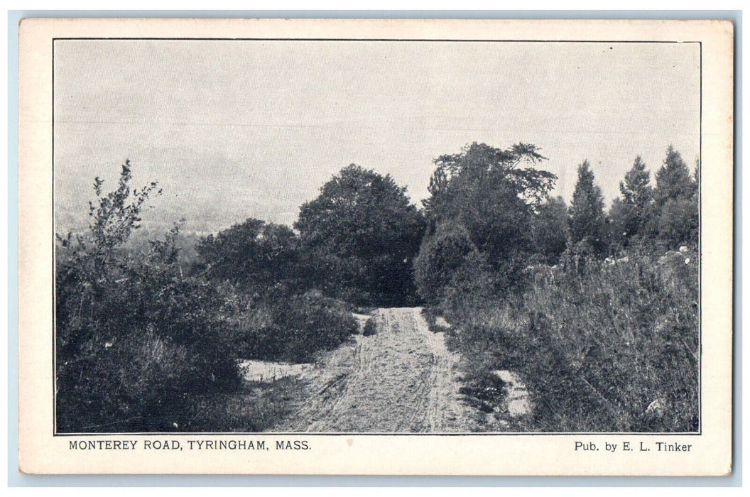 c1910's View of Monterey Dirt Road Tyringham Massachusetts MA Antique Postcard