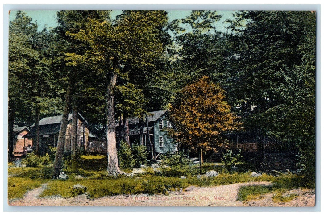Babbs Camps House Otis Pond Massachusetts MA, Trees Scene Vintage Postcard