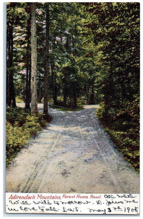 1904 View Of Adirondack Mountains Forest Home Road New York NY Antique Postcard